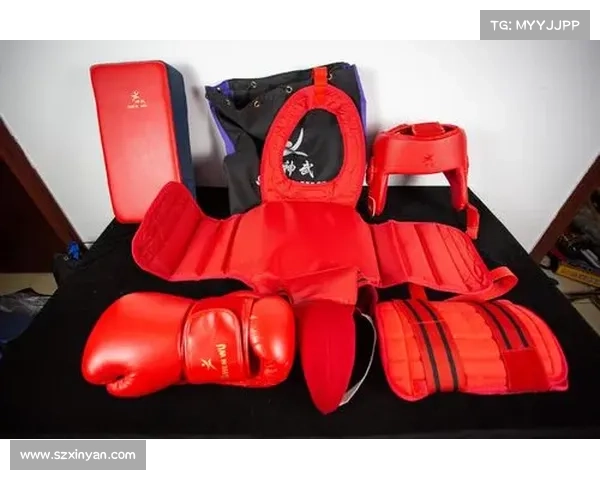 青少年武术赛事安全白皮书发布 强制护具认证新规将全面实施